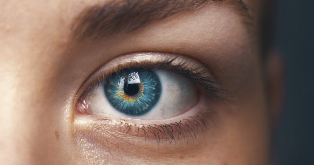 Oculax Opiniones México 2026: ¿Funciona? Precio, Ingredientes y Farmacia del Ahorro